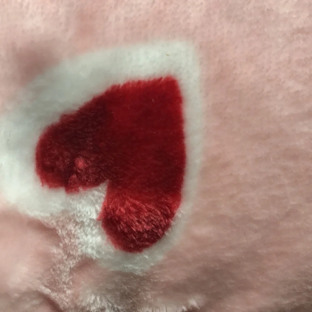 Kate Spade Brushstroke Hearts QUEEN Plush Blanket
